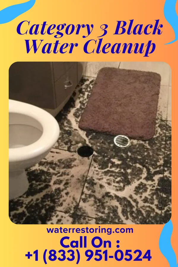 Category 3 Black Water Cleanup in Lake Isabella, MI