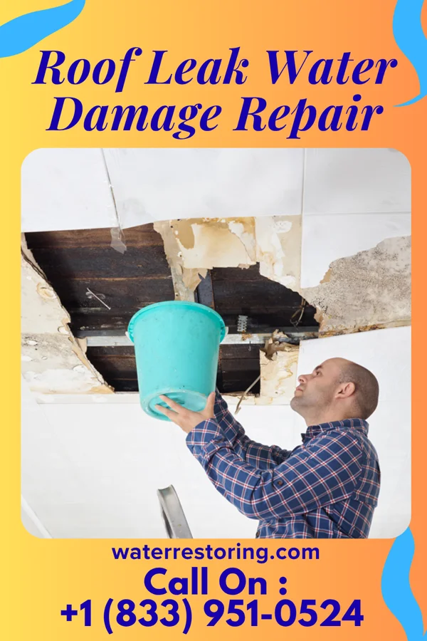 Roof Leak Water Damage Repair in Lake Isabella, MI